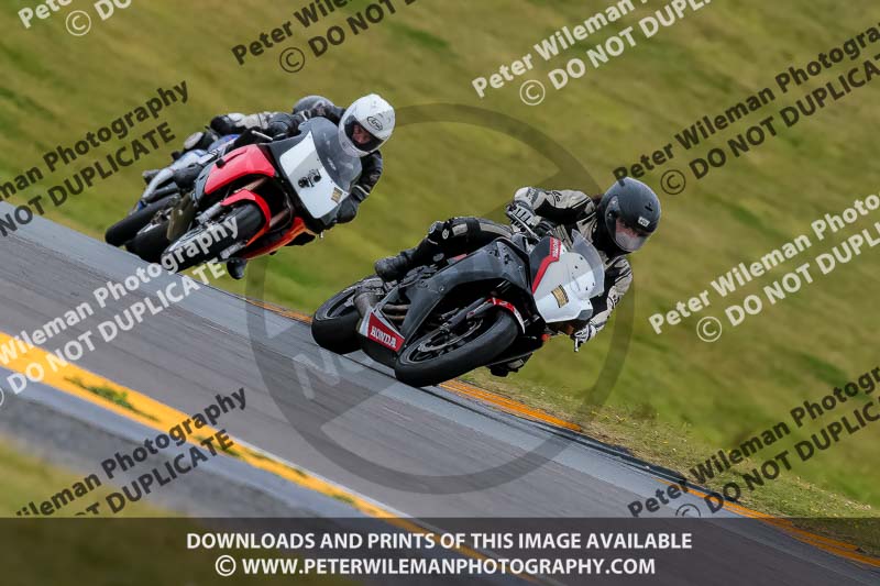 PJ Motorsport 2019;anglesey no limits trackday;anglesey photographs;anglesey trackday photographs;enduro digital images;event digital images;eventdigitalimages;no limits trackdays;peter wileman photography;racing digital images;trac mon;trackday digital images;trackday photos;ty croes